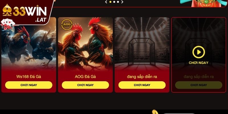 Mô hình đá gà cựa dao cực kỳ kịch tính